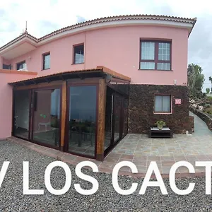 Cactus , Echedo Spagna